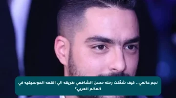 نجم عالمي.. كيف شكّلت رحلة حسن الشافعي طريقه إلى القمة الموسيقية في العالم العربي؟